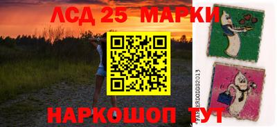 гидра Гатчина