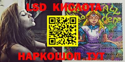 гидра Гатчина