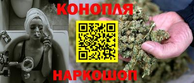 гидра Гатчина