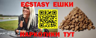гидра Гатчина